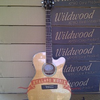 Gitar Akustik Elektrik Top Solid : Wildwood White GXCE