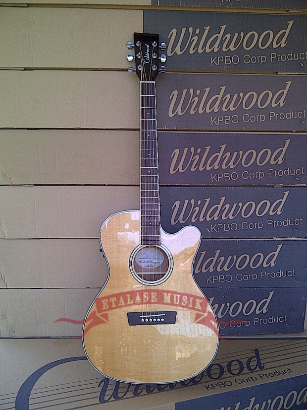 Gitar Akustik Elektrik Top Solid : Wildwood White GXCE